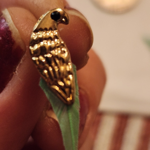 Vintage unique bird earrings real tail feather tropical gold toned. Gem … - Picture 3 of 4